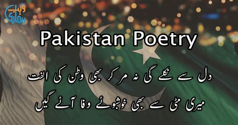  「Pakistan's Poetry: Exploring Rhythm and Melody」 -  A Journey Through the Lyrical Landscape of South Asia